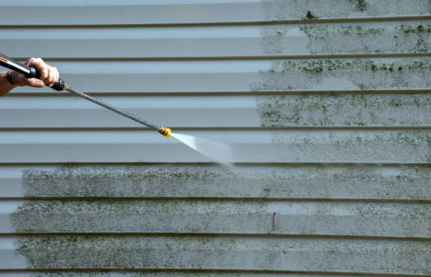 Best Toxic Mold Removal  in Lester Prairie, MN