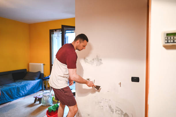 Best Water Damage Restoration  in Lester Prairie, MN