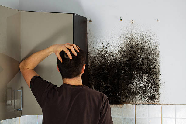 Best Crawl Space Mold Removal  in Lester Prairie, MN
